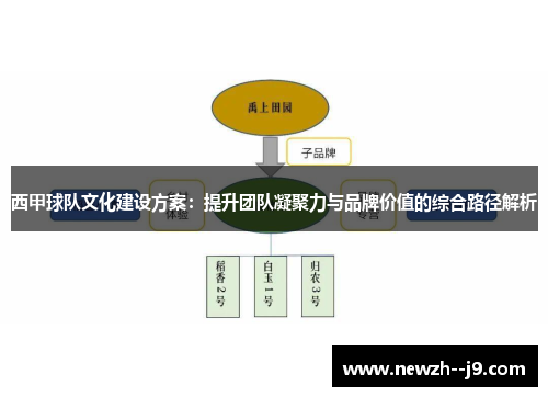 西甲球队文化建设方案：提升团队凝聚力与品牌价值的综合路径解析